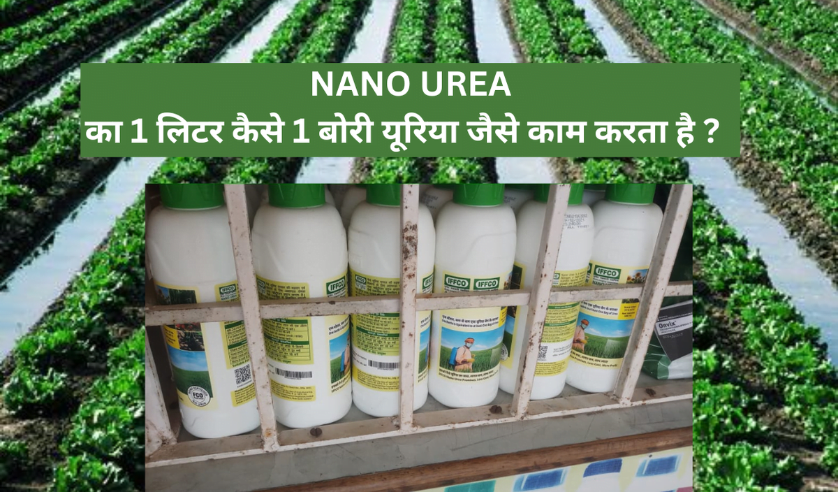 NANO UREA